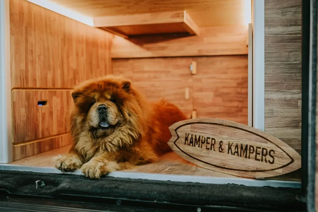 Misión de Kamper&Kampers
